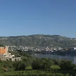 Gale Collection Douro Lamego
