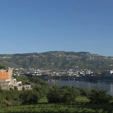 Gale Collection Douro Lamego