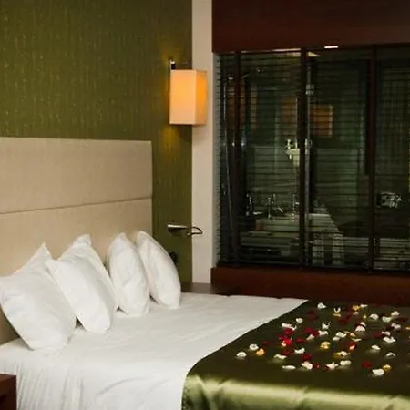 Hotel Gale Collection Douro 4*