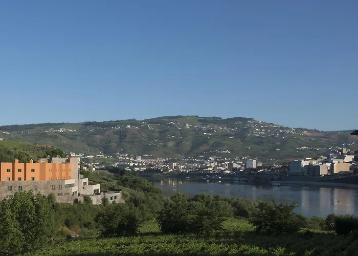 Gale Collection Douro Lamego