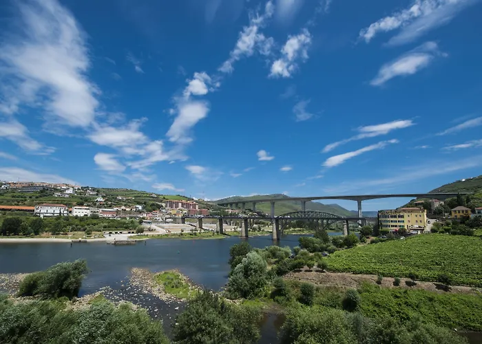 Gale Collection Douro למאגו